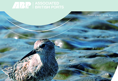 Development in the Humber Estuary